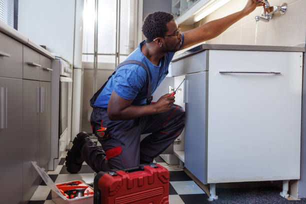 Best Affordable Plumber Near Me  in Hughesville, PA